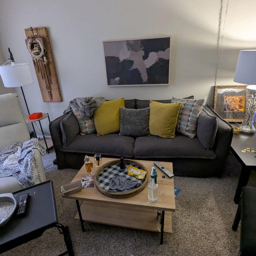 Down Slipcover Sofa with custom pillows